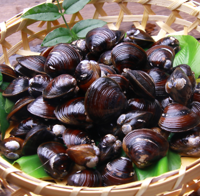 しじみ つかみ取り